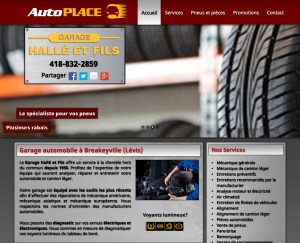 garage-halle-fils-levis